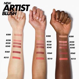 Artist Face Powders - Allık