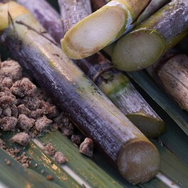 WASO - Derin Gözenek Arındırıcı Mineral Kil Maskesi