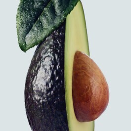 Botanical Repair - Yıpranmış Saçlar İçin Onarım Maskesi: Hafif Doku