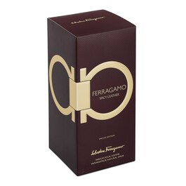 Ferragamo Spicy Leather - Parfum