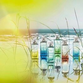 Un Jardin En Méditerranée, Eau de Toilette