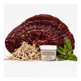 Adaptogen Deep Moisture Cream - Yatıştırıcı ve Nemlendirici Krem
