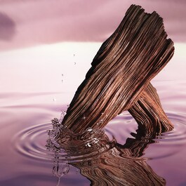 Desert Eden - Eau de Parfum