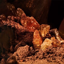 Man Terrae Essence - Eau de Parfum