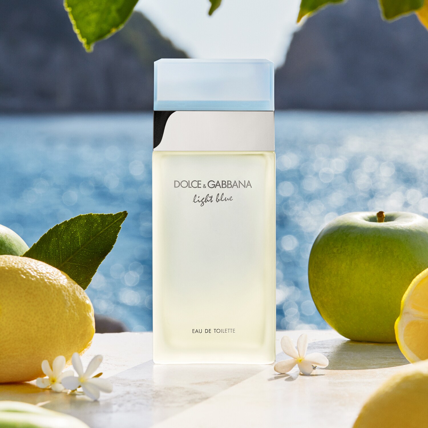 Perfume gabbana 2025 light blue