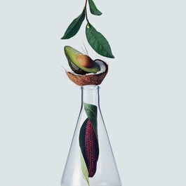 Botanical Repair - Yıpranmış Saçlar İçin Onarım Şampuanı