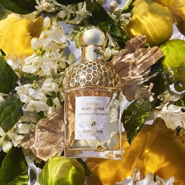 Berga Calabria - Eau de Toilette