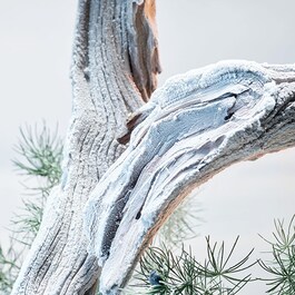 Man Glacial Essence - Eau De Parfum