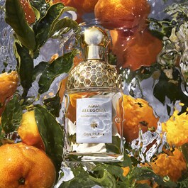 Mandarine / Basilic - Eau De Toilette