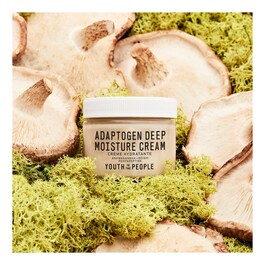 Adaptogen Deep Moisture Cream - Yatıştırıcı ve Nemlendirici Krem