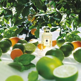 Lime Basil & Mandarin - Cologne 