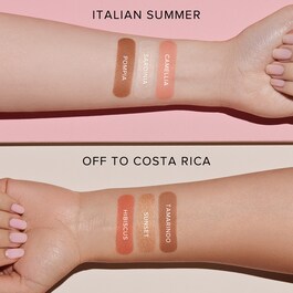 Face Palette - Yüz Paleti