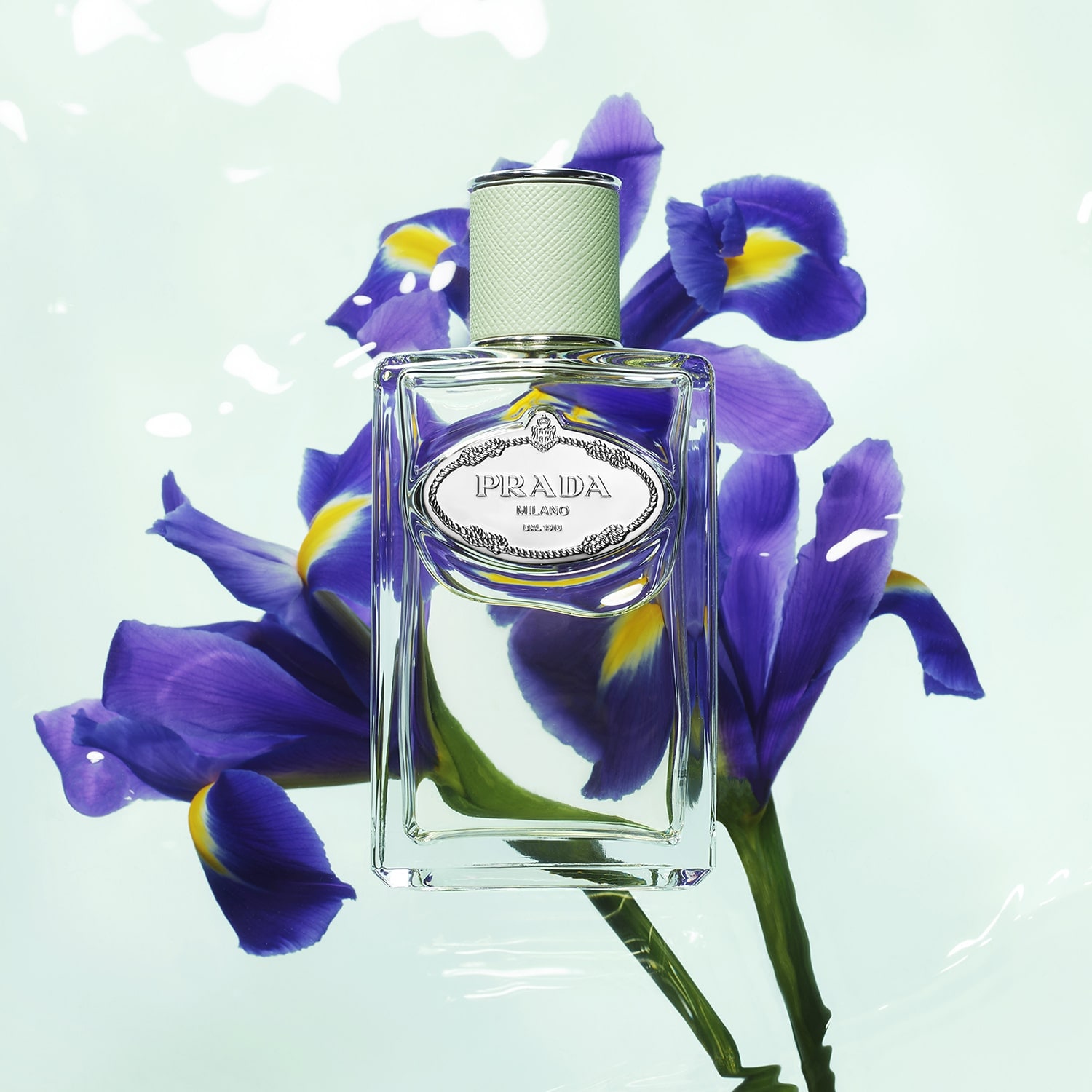 Perfume prada infusion 2025