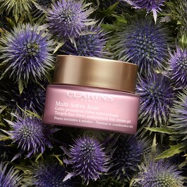 Clr Multi Active Day Cream-Gel Normal To Combination Skin