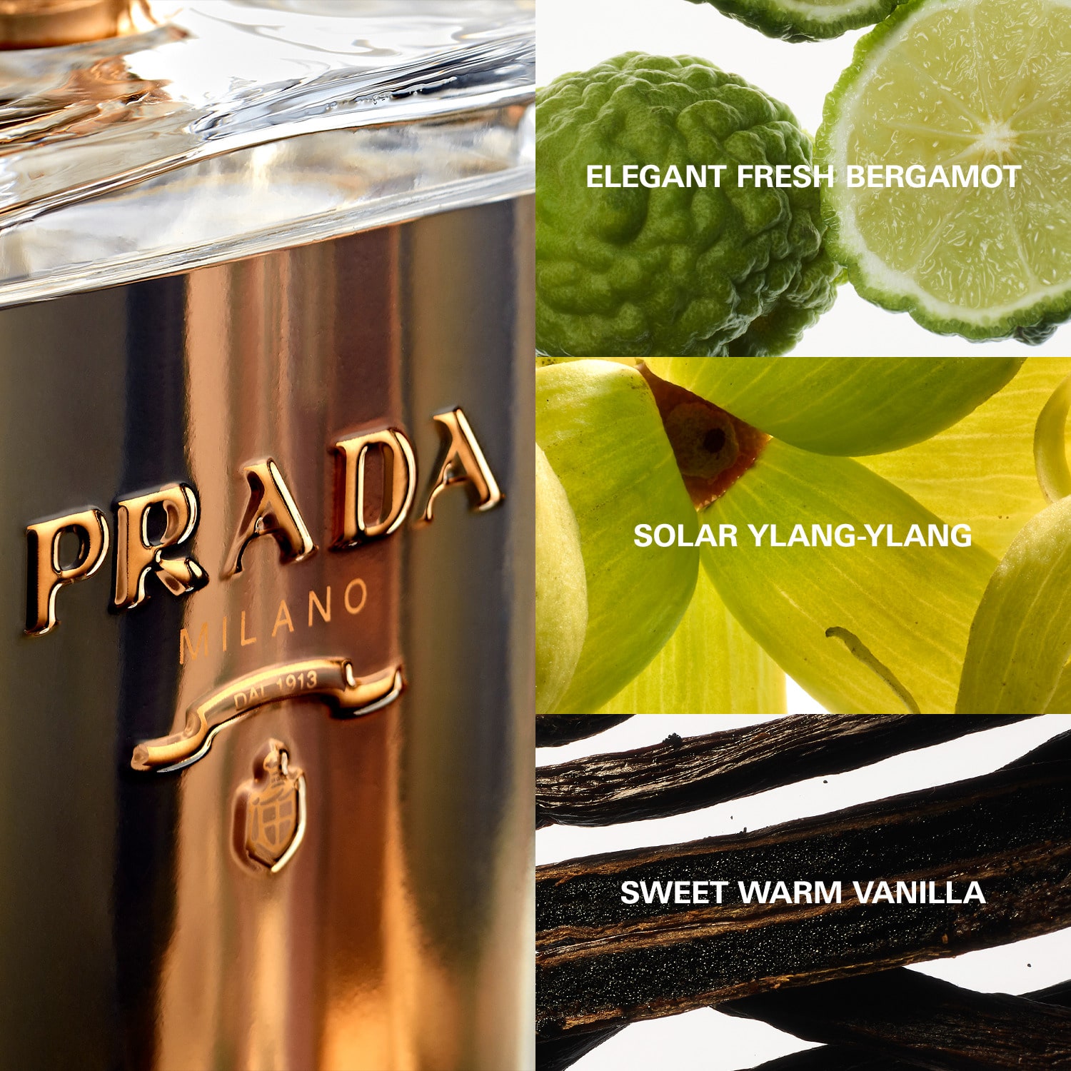 Perfume prada femme top