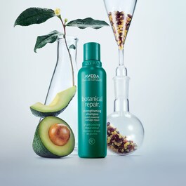 Botanical Repair - Yıpranmış Saçlar İçin Onarım Şampuanı