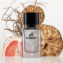 Mr burberry eau de parfum yorum shop
