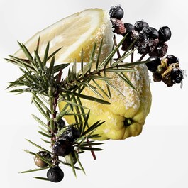 Terre D'Hermes Eau Givree - Eau de Parfum
