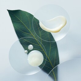 Botanical Repair - Yıpranmış Saçlar İçin Onarım Şampuanı