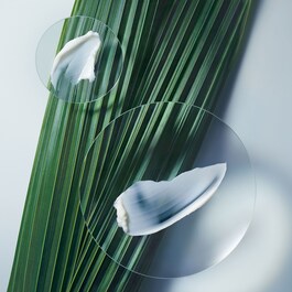 Botanical Repair - Yıpranmış Saçlar İçin Onarım Maskesi: Hafif Doku