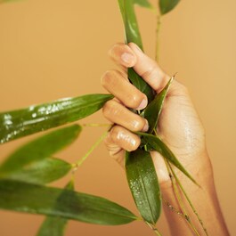 Bamboo Crème Frappée - Gündüz KREMİ