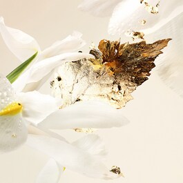 Splendida Patchouli Tentation - Eau de Parfum