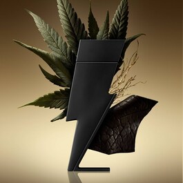 Bad Boy - Eau de Parfum