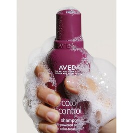 Color Control™ - Boyalı Saçlar İçin Şampuan