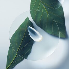 Botanical Repair - Yıpranmış Saçlar İçin Onarım Kremi