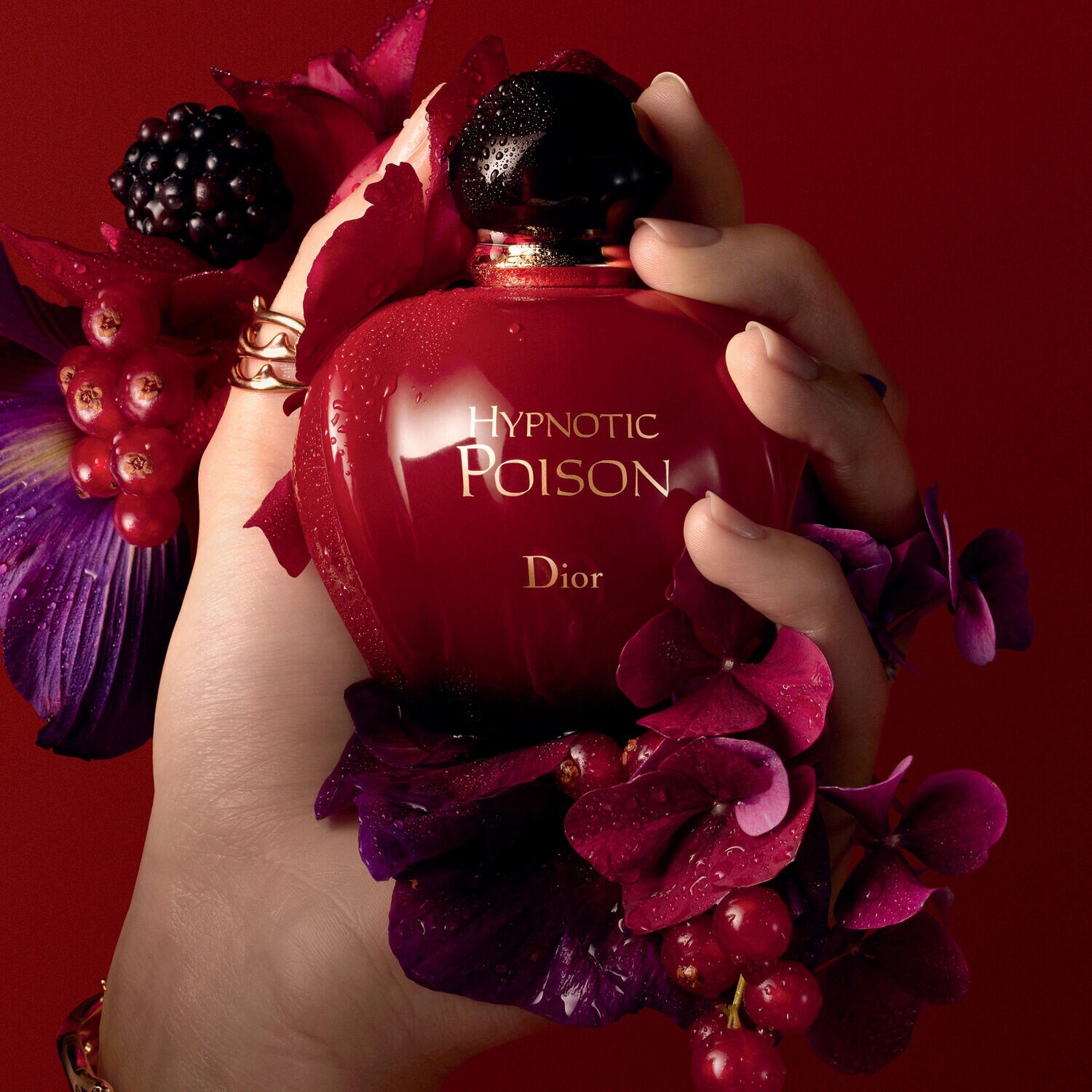 Perfume christian 2025 dior hypnotic poison