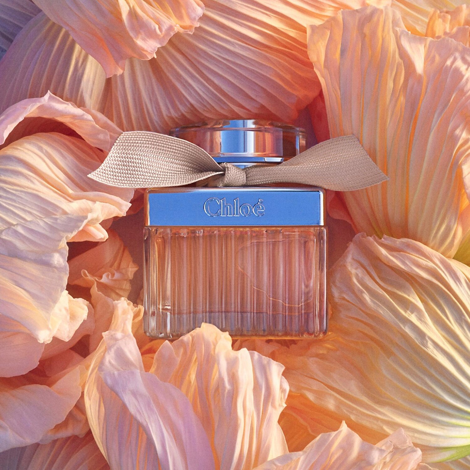 Buy chloe eau de parfum on sale