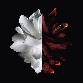 L'Interdit Rouge - Eau de Parfum 
