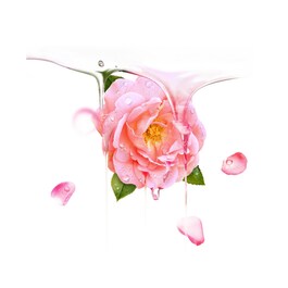 UFO™ Bulgarian Rose - Nemlendirici 6'lı Aktif Maske