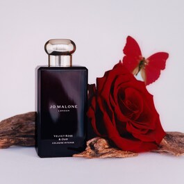 Velvet Rose & Oud - Cologne 