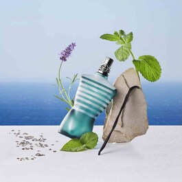 Le Male - Eau De Toilette