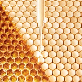 Abeille Royale Eye Cream - Göz Kremi