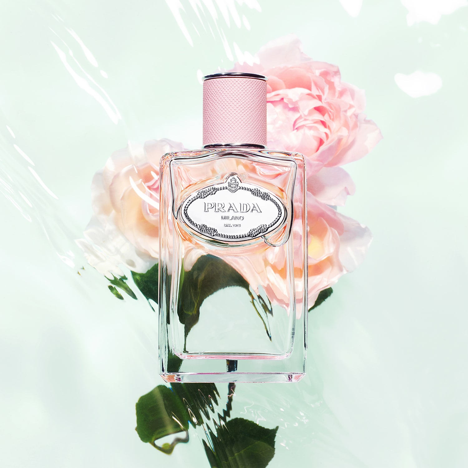 Perfume prada shop infusion de rose