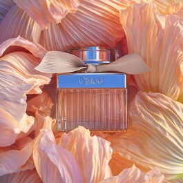 Signature - Eau de Parfum