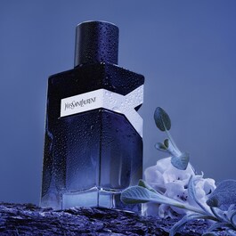 Y Men - Eau de Parfum