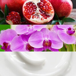 Euphoria Woman - Eau de Parfum
