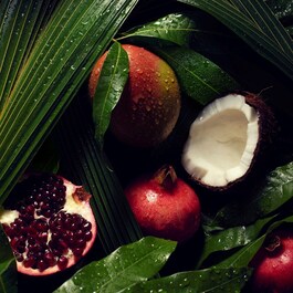 Nutriplenish™ - Yoğun Nemlendirici Saç Kremi