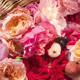 Aqua Allegoria Harvest Rosa Rossa - Eau De Toilette