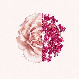 Irresistible Givenchy - Eau De Toilette Fraiche