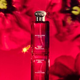 Scarlet Poppy - Cologne 