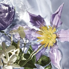 Flora Salvaggia - Eau De Toilette