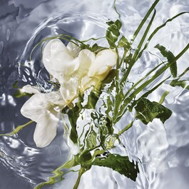 Aqua Allegoria Herba Fresca - Eau de Toilette