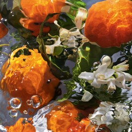 Mandarine / Basilic - Eau De Toilette