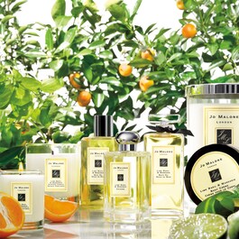 Lime Basil & Mandarin - El Vücut Yıkama Jeli
