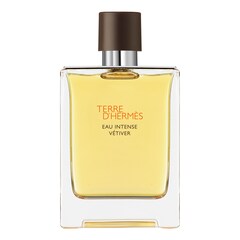 Terre D'Hermès Eau Intense Vétiver - Eau de Parfum, HERMÈS