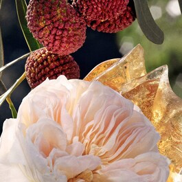Signature - Eau de Parfum